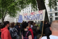 March Against Monsanto London 18