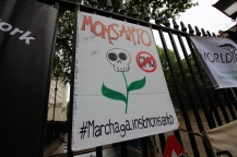 March Against Monsanto London 9